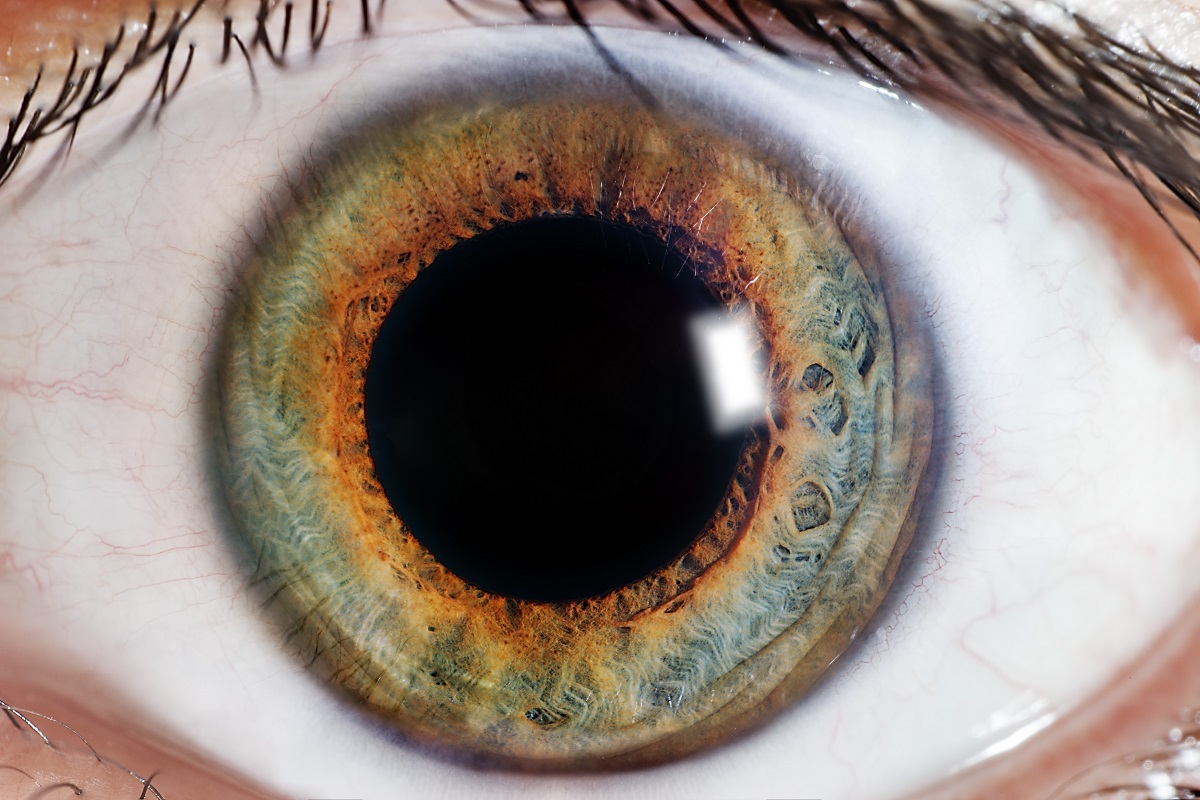 Why It’s Important to Get Your Eyes Checked Even If Your Vision Is Fine