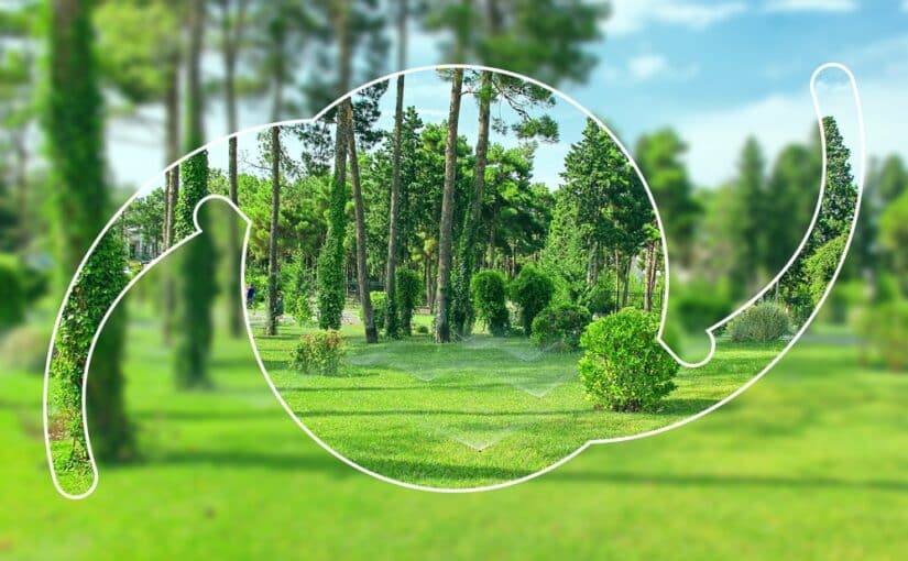 Image of an intraocular lens (IOL), bringing a green forest into sharp, defined view